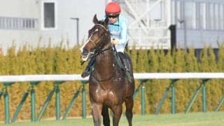 NHKマイルC当日の東京芝は内優勢か ノーブルロジャーの2強撃破あるぞ