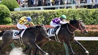 【東京5R】キズナ産駒 サンライズソレイユが人気に応える