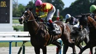 【鞍馬S結果】ジャスティンスカイが追い比べを制してV