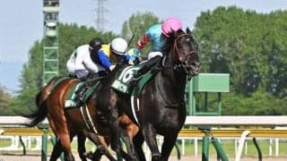 【新潟大賞典結果】ヤマニンサルバムが逃げ切り重賞2勝目