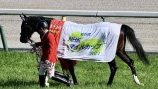 WIN5は397万円超の払戻し…NHKマイルカップはジャンタルマンタルが完勝