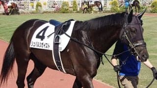 【新潟12R】良血シュバルツガイストが鮮やかに差し切る…佐々木「前へ行く気持ちが強かった」