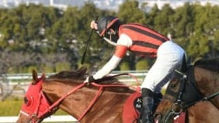 【京王杯SC】ウインマーベル、ソーヴァリアントらが登録