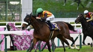 【オークス】ステレンボッシュ、アドマイヤベルらが登録