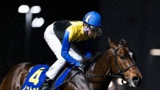 【名古屋グランプリ】武豊ノットゥルノは7枠10番