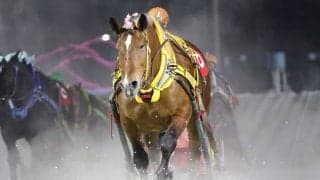 【ばんえい・カーネーションカップ】サクラヒメ重賞6勝目…渡来「負けられないというのが正直な気持ち」