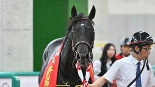 【新潟大賞典】売上は32億6062万1300円で昨年より約6000万円減少