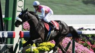 【京都新聞杯】売上は41億1353万9900円で昨年より約1.3億円増加