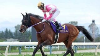 【先週のJRA抹消馬】重賞2勝のケイアイパープル、JRA現役最年長の12歳馬マイネルプロンプトなど