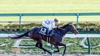 【川崎・エンプレス杯枠順】無傷5連勝中のオーサムリザルトは7枠10番