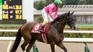 【京都HJ想定騎手】アサクサゲンキは小牧加矢太騎手、ヴァリアメンテは西谷誠騎手