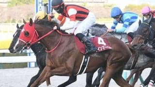 【京王杯SC想定騎手】ウインマーベルは松山弘平騎手、トウシンマカオは菅原明良騎手