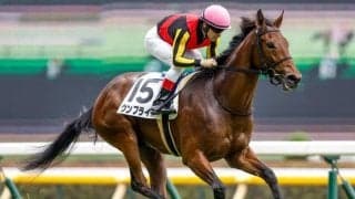 【AI予想・ヴィクトリアM】前走人気薄の取捨は着順やレース格が決め手!? 波乱も予感させる人工知能の本命候補とは