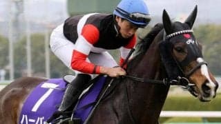 ヴィクトリアMは今年も友道厩舎に要注目 ハーパーが悲願のGI初制覇なるか