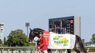 3歳マイル王者の父パレスマリス 血統から見える日本の芝への適性の高さ