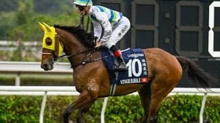 香港G1馬ヴォイッジバブルが安田記念参戦へ 地元メディアが報じる