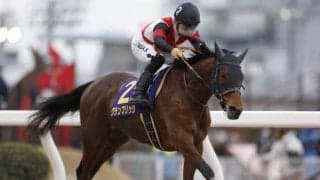 【エンプレス杯予想】グランブリッジの連覇か素質馬無敗の戴冠かそれとも… 春のダート女王の座は誰の手に