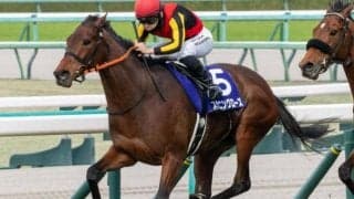 7年目を迎える若武者が初GIタイトル獲得狙う 22年秋華賞馬とのコンビ