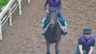 シャリオドールの2022(アスククラウンモア)など、先週の入厩情報/栗東トレセンニュース