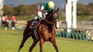 【ヴィクトリアM予想オッズ】ナミュールが予想1番人気