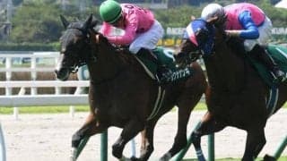 【京都HJ予想オッズ】アサクサゲンキが予想1番人気