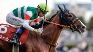 【ヴィクトリアM展望】春の最強牝馬決定戦、前走GI組を信頼