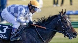 武豊騎手と5戦無敗の怪物が女王の座を狙う/川崎・エンプレス杯注目馬