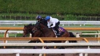 ジャスティンミラノ、日本ダービー2週前追い切り速報/栗東トレセンニュース