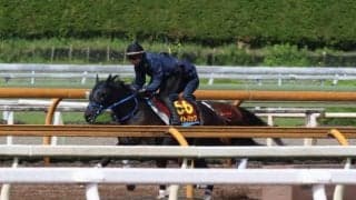 ライトバック、オークス1週前追い切り速報/栗東トレセンニュース