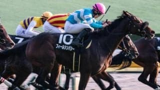 勝てば史上3人目の快挙 4年目の若武者がヴィクトリアマイルでJRA・GI初騎乗初制覇を狙う