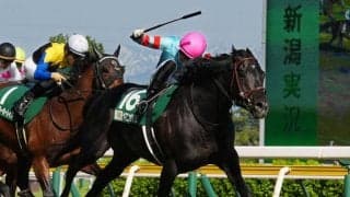 【新潟大賞典】ヤマニンサルバムが重賞2勝目…混戦を断つ