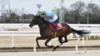【グランダムジャパン】エンプレス杯3着キャリックアリードが古馬・春シーズンで優勝