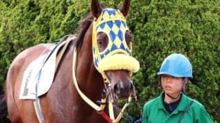 3年前に新潟で生まれた珍記録 馬体重最高増加出走の馬を知っていますか？