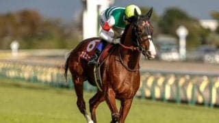 【ヴィクトリアM出走馬・騎手確定】ナミュール＆武豊騎手、マスクトディーヴァ＆J.モレイラ騎手など15頭