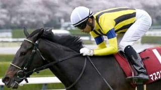 【ヴィクトリアM・調教後馬体重】マスクトディーヴァは462kg、ナミュールは458kg