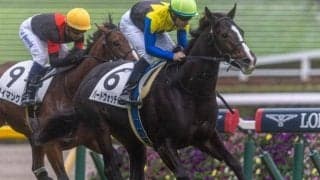 3冠牝馬の仔が日曜に仕切り直しの一戦 今後期待の逸材は2勝目なるか