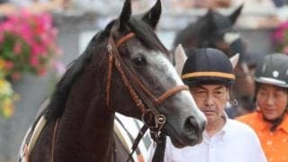 ノットゥルノの半妹 武豊騎手とのタッグで初勝利つかめるか