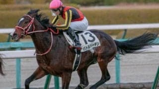 兄姉は国内外G1優勝馬 矢作厩舎ゆかりの良血が適条件で巻き返しを図る