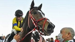 半兄も同じく矢作厩舎所属で海外重賞を制した良血馬 一族得意のデビュー戦Vへ