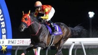 【門別・コスモバルク記念結果】三冠馬ベルピットが圧勝で重賞6勝目を挙げる