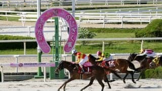 【園田・のじぎく賞】ニジイロハーピーが重賞連勝…大畑雅「手応え良くなかった」