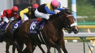 10日から愛鳥週間 11年ヴィクトリアM覇者と鳥との深い関係とは!?