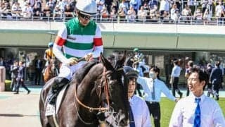 豪G1覇者の仔 ルメール騎手を鞍上に迎え復帰戦を白星で飾れるか