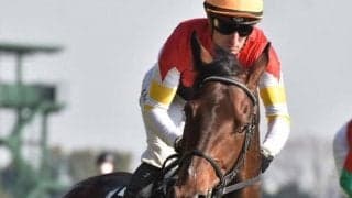 エリザベス女王杯覇者の仔 素質開花させ2連勝で一気にオープン入りを目指す