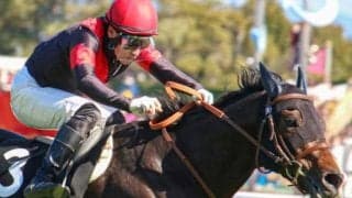 京王杯SCは内＆前有利？ 内枠から先行するリュミエールノワルが狙い目だ