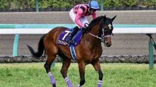 ファントムシーフが故障、休養へ