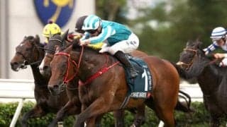 安田記念に香港馬2頭が出走 来日スケジュールも決まる