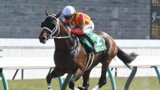 【平安S想定馬・騎手】グロリアムンディ、ミッキーヌチバナなど16頭