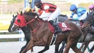 【今日の注目ポイント】東京で京王杯SCと京都で京都HJの2重賞