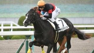 【京都HJ予想】約4000mの距離＆18回の障害飛越 好走には先行力が欲しい